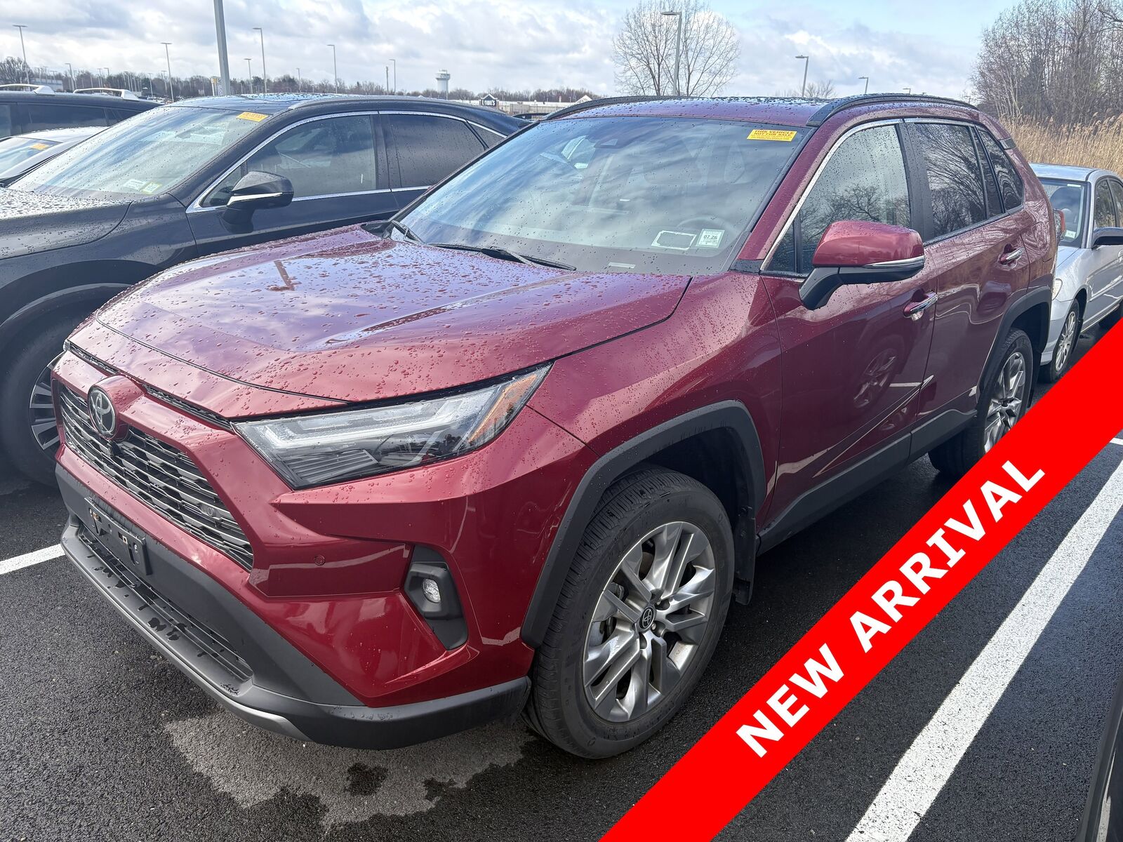 2023 TOYOTA RAV4