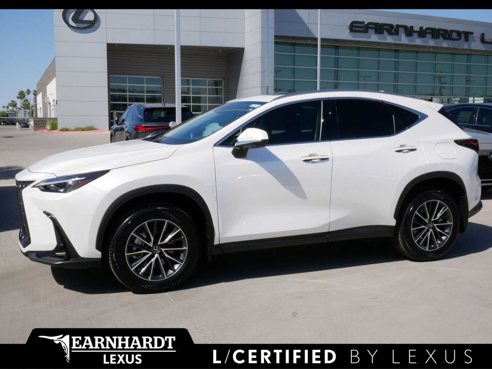 2025 LEXUS NX