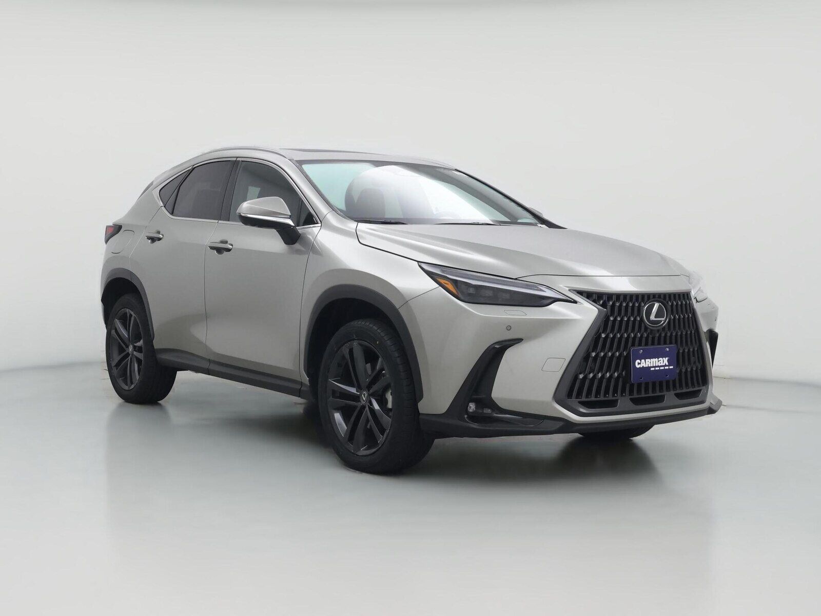 2024 LEXUS NX