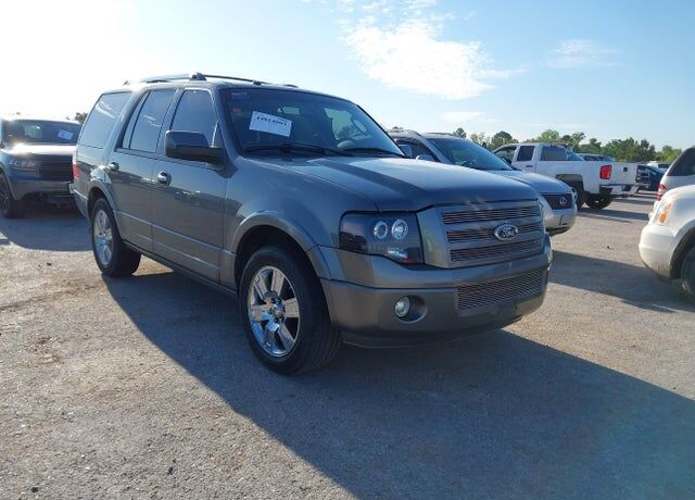2010 FORD Expedition