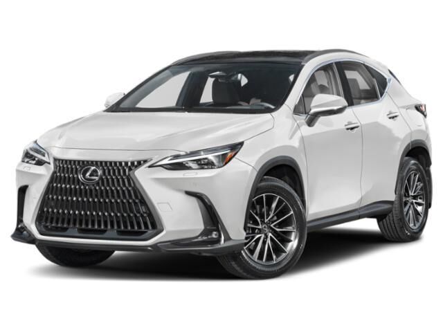 2024 LEXUS NX