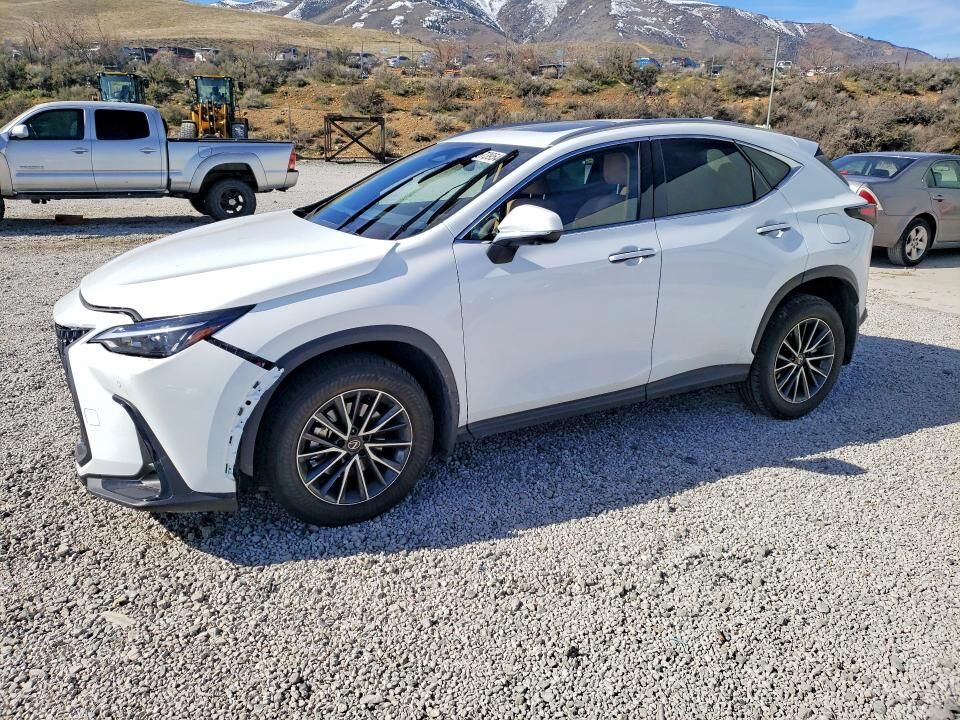 2026 LEXUS NX