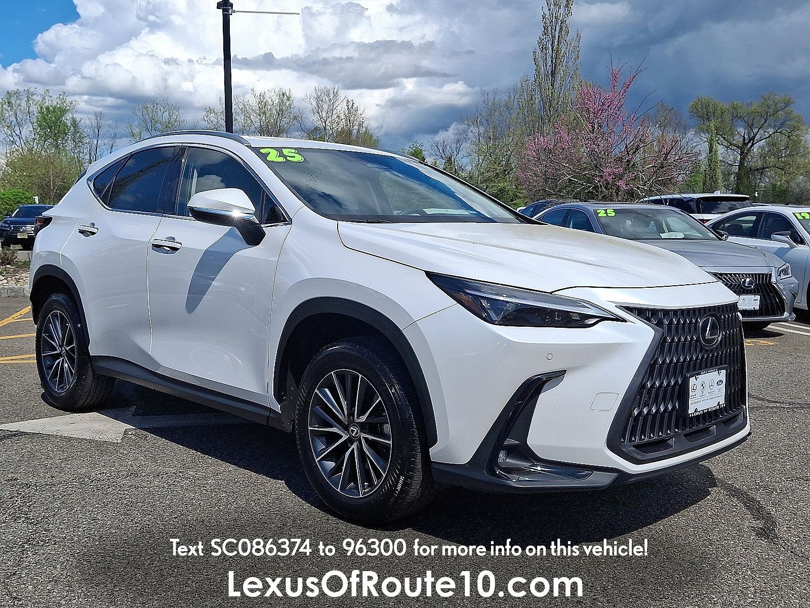 2025 LEXUS NX