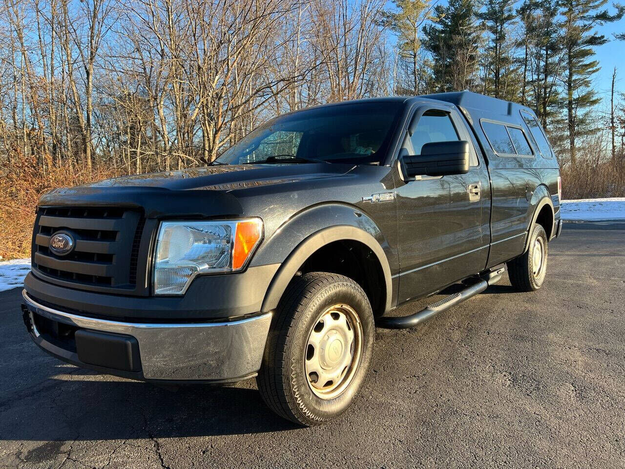 2010 FORD F-150
