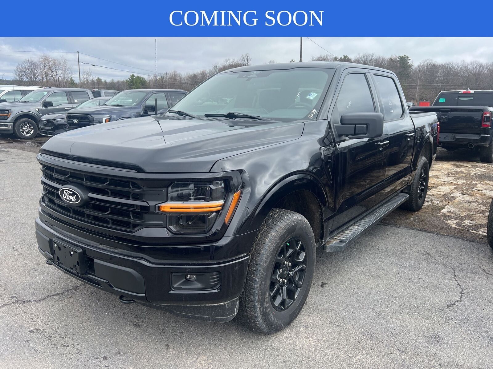 2025 FORD F-150