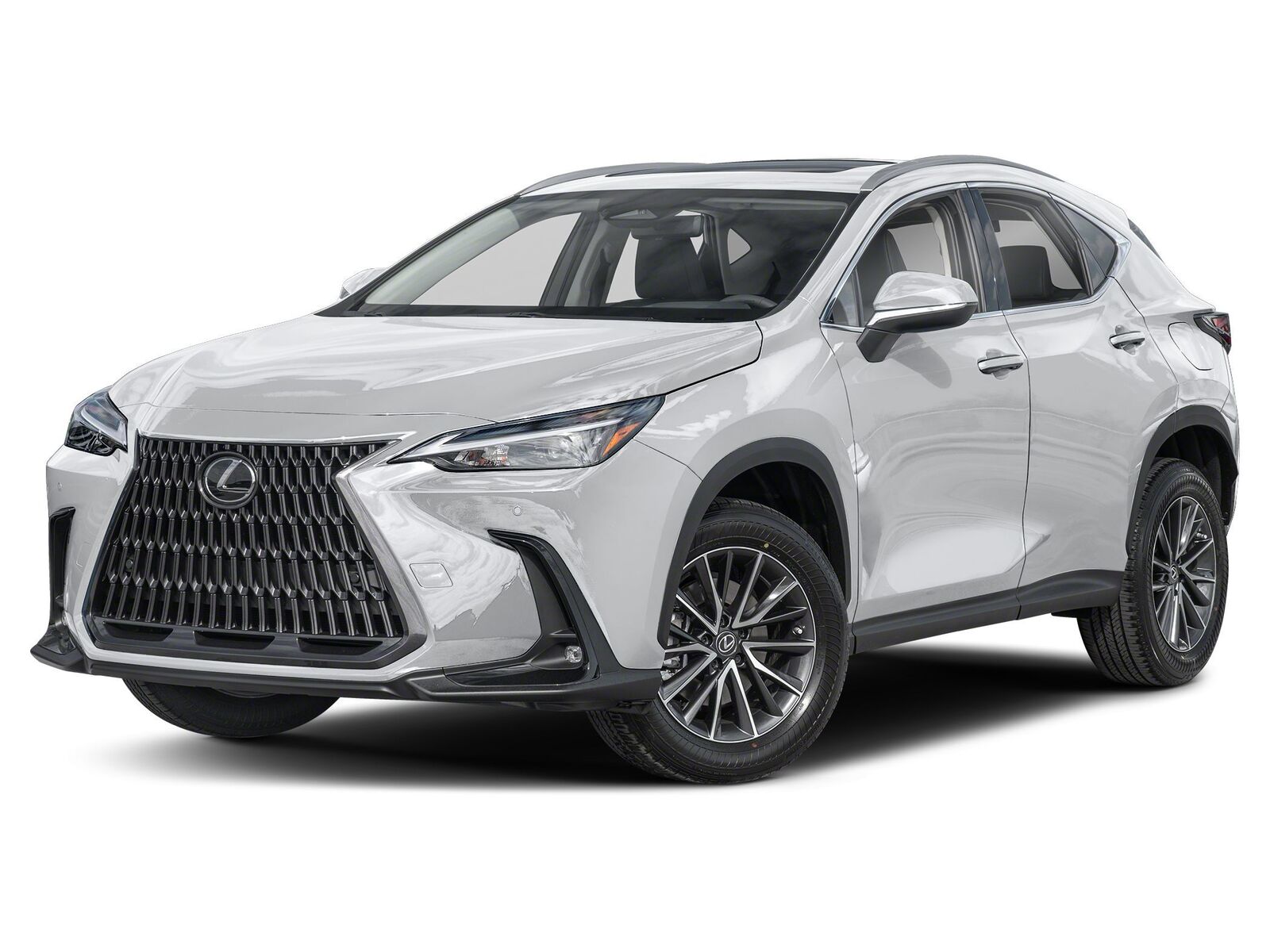 2025 LEXUS NX