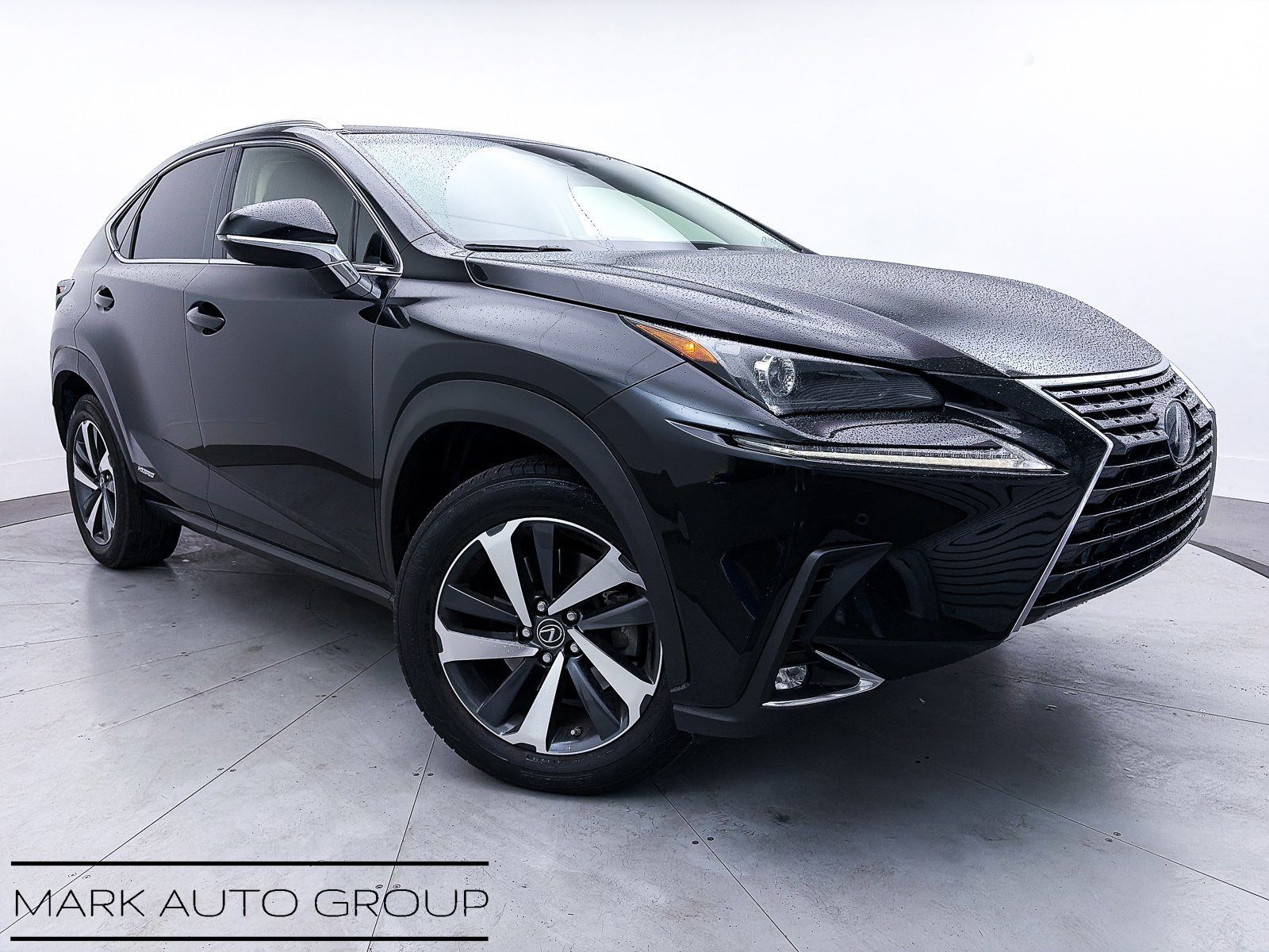 2019 LEXUS NX