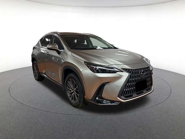 2024 LEXUS NX