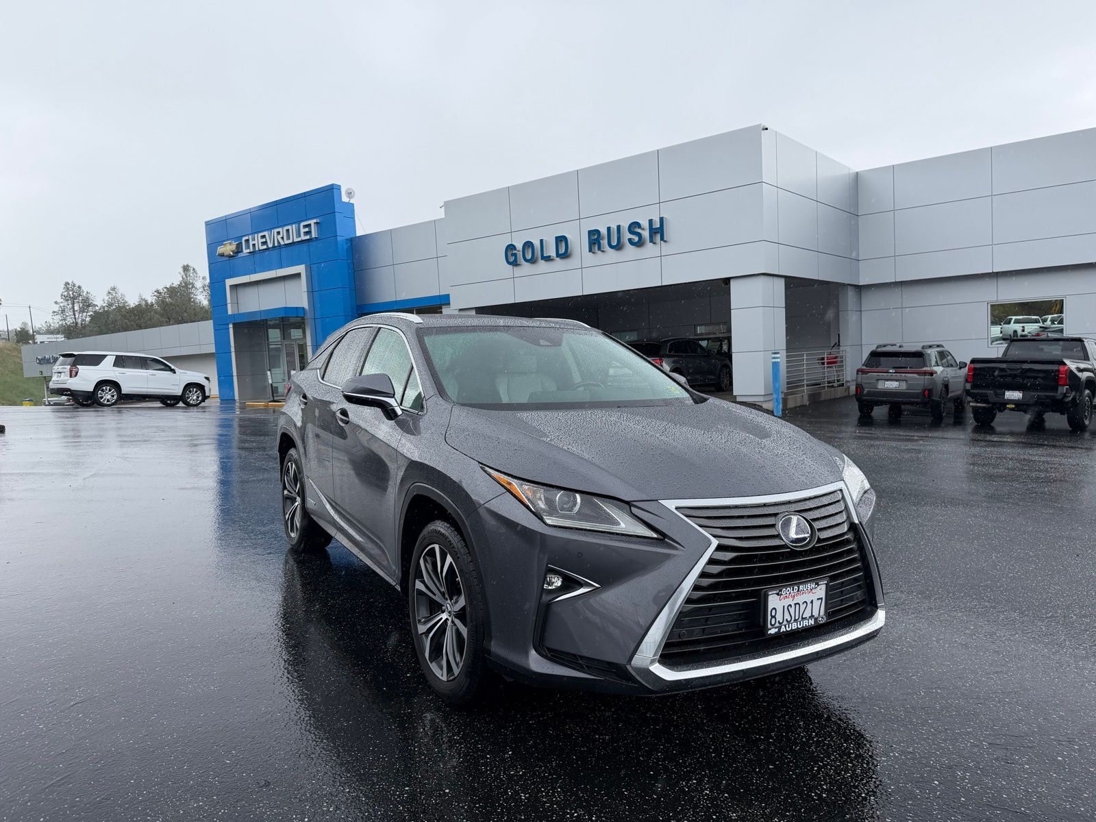2019 LEXUS RX
