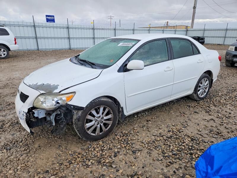 2010 TOYOTA Corolla