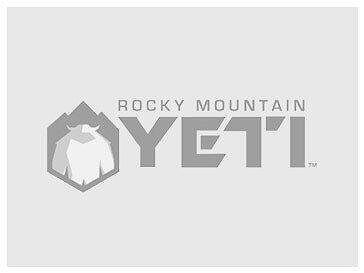 2002 CHEVROLET Astro Van