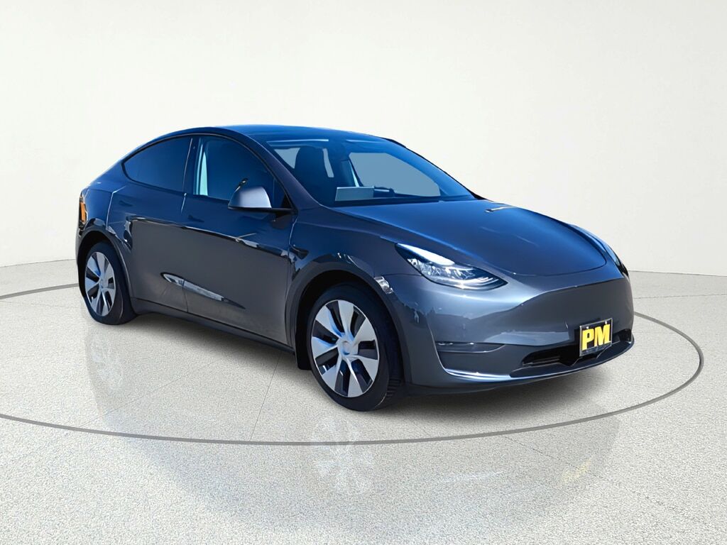 2020 TESLA Model Y