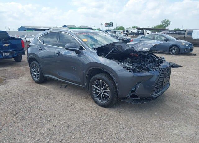 2024 LEXUS NX