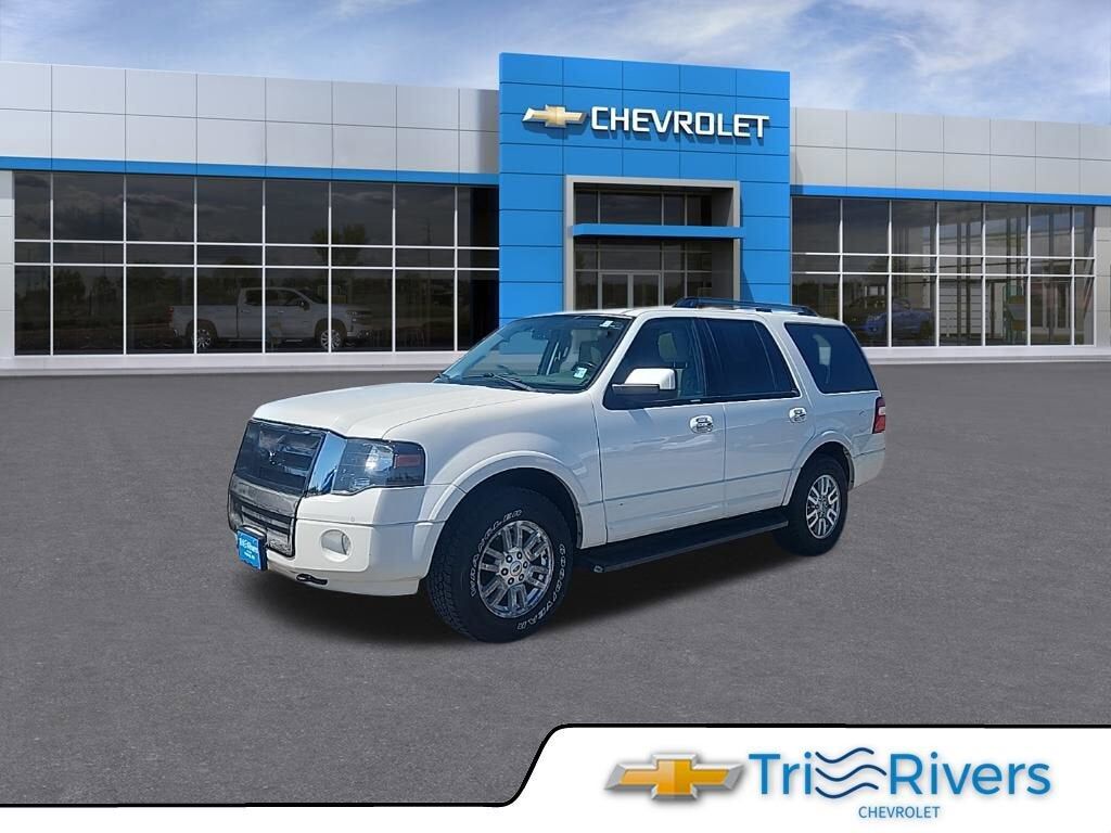 2013 FORD Expedition
