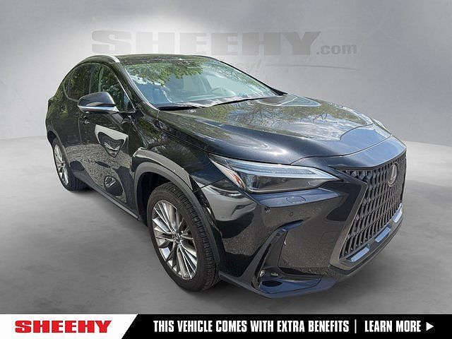 2024 LEXUS NX
