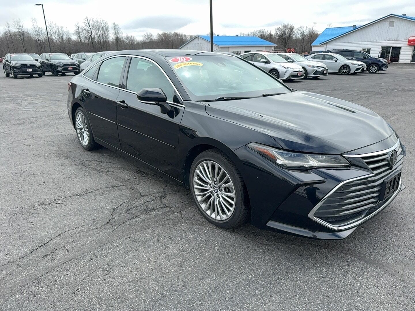 2020 TOYOTA Avalon