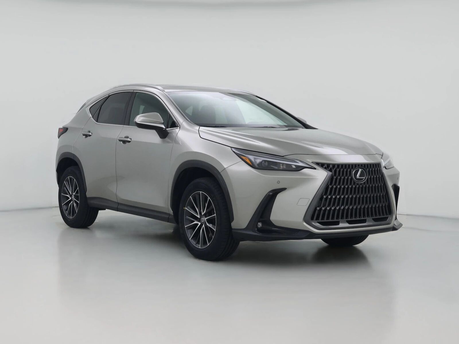 2024 LEXUS NX