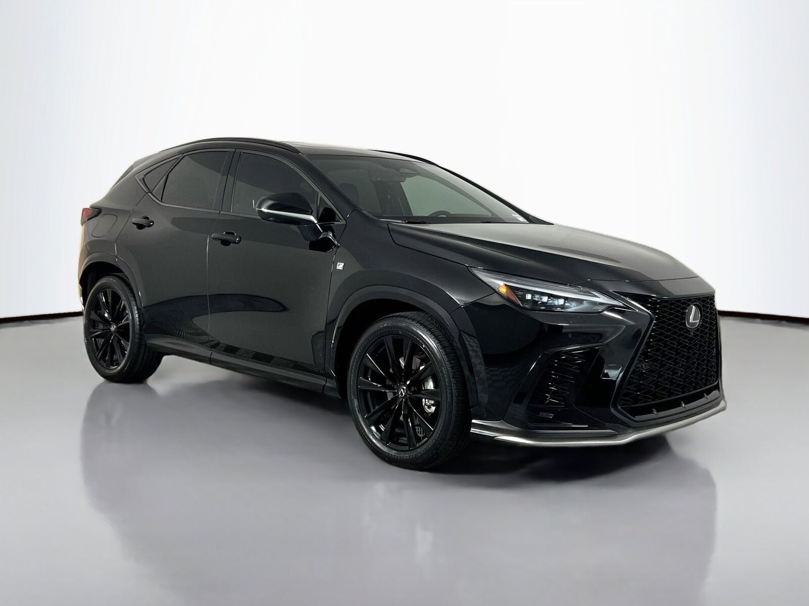 2024 LEXUS NX