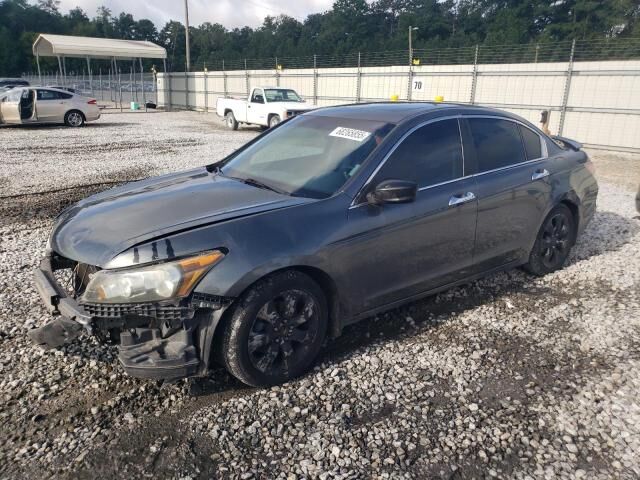 2010 HONDA Accord