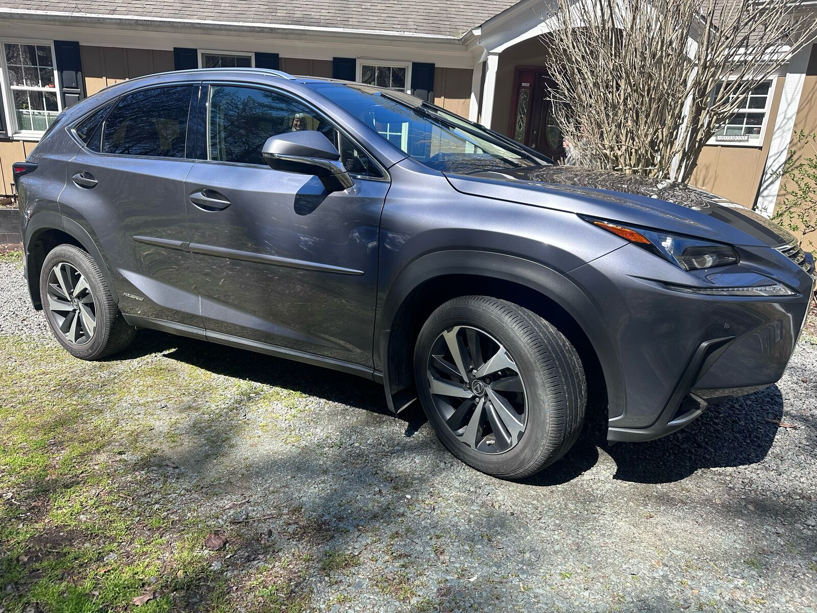2021 LEXUS NX