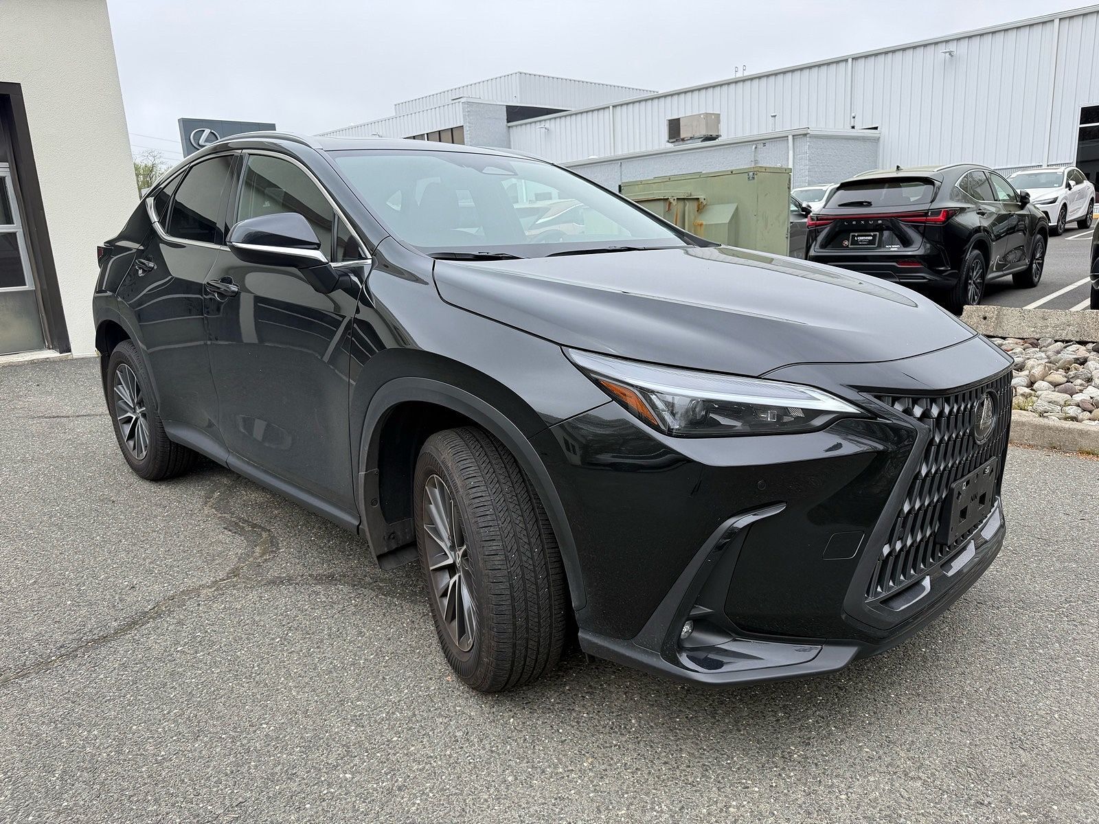 2025 LEXUS NX