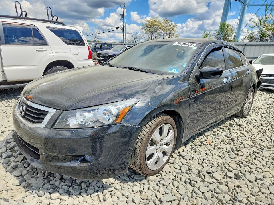 2010 HONDA Accord