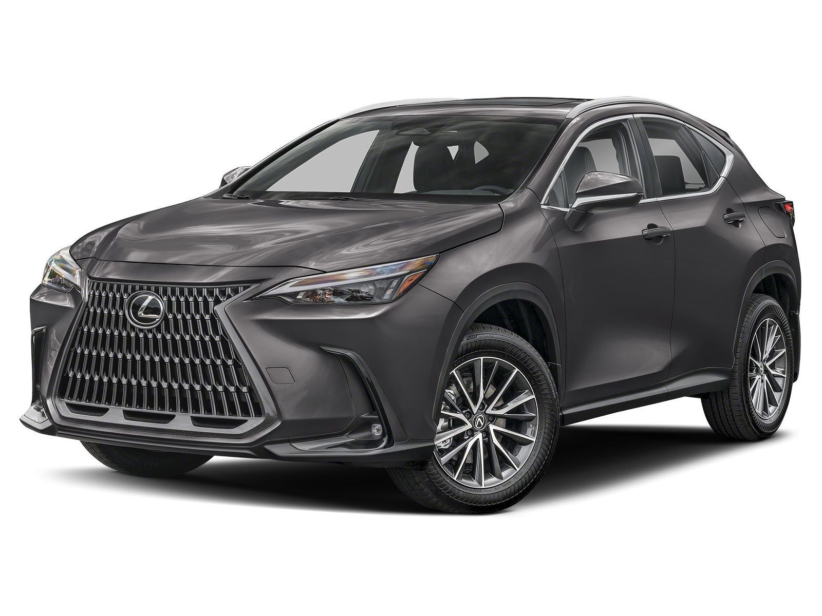 2025 LEXUS NX
