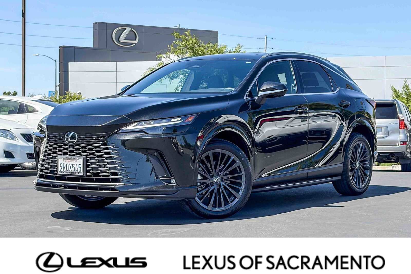2025 LEXUS RX