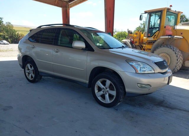 2007 LEXUS RX