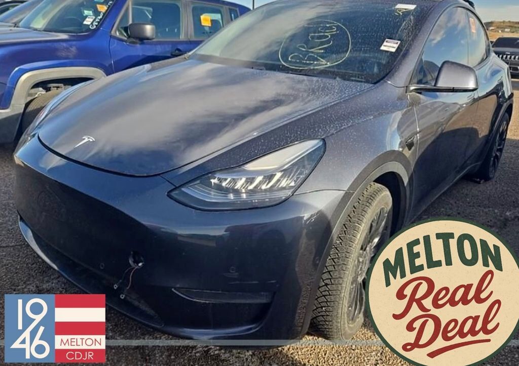 2020 TESLA Model Y