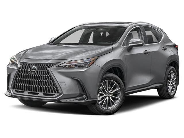 2024 LEXUS NX