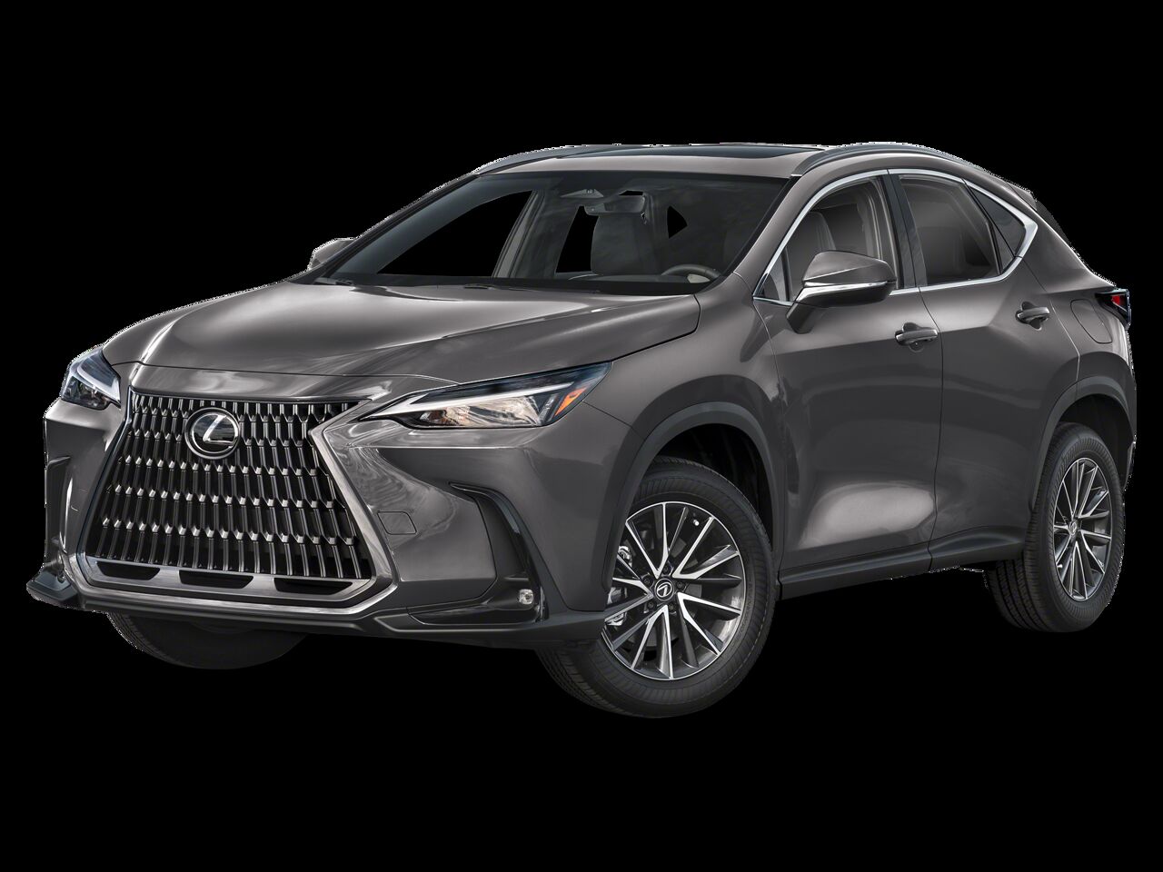 2024 LEXUS NX