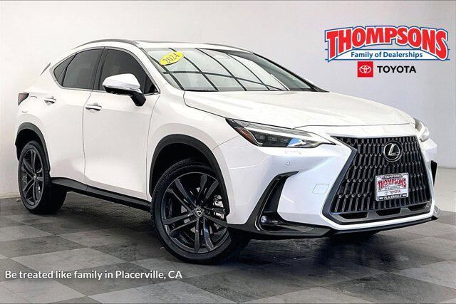 2024 LEXUS NX