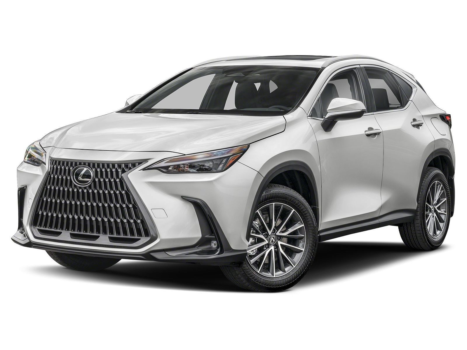 2025 LEXUS NX