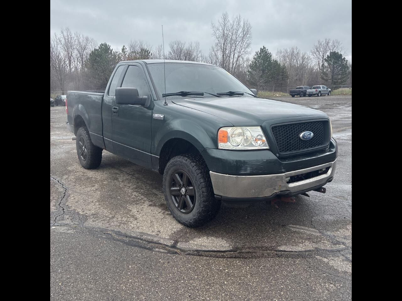 2006 FORD F-150