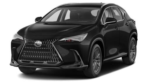 2025 LEXUS NX
