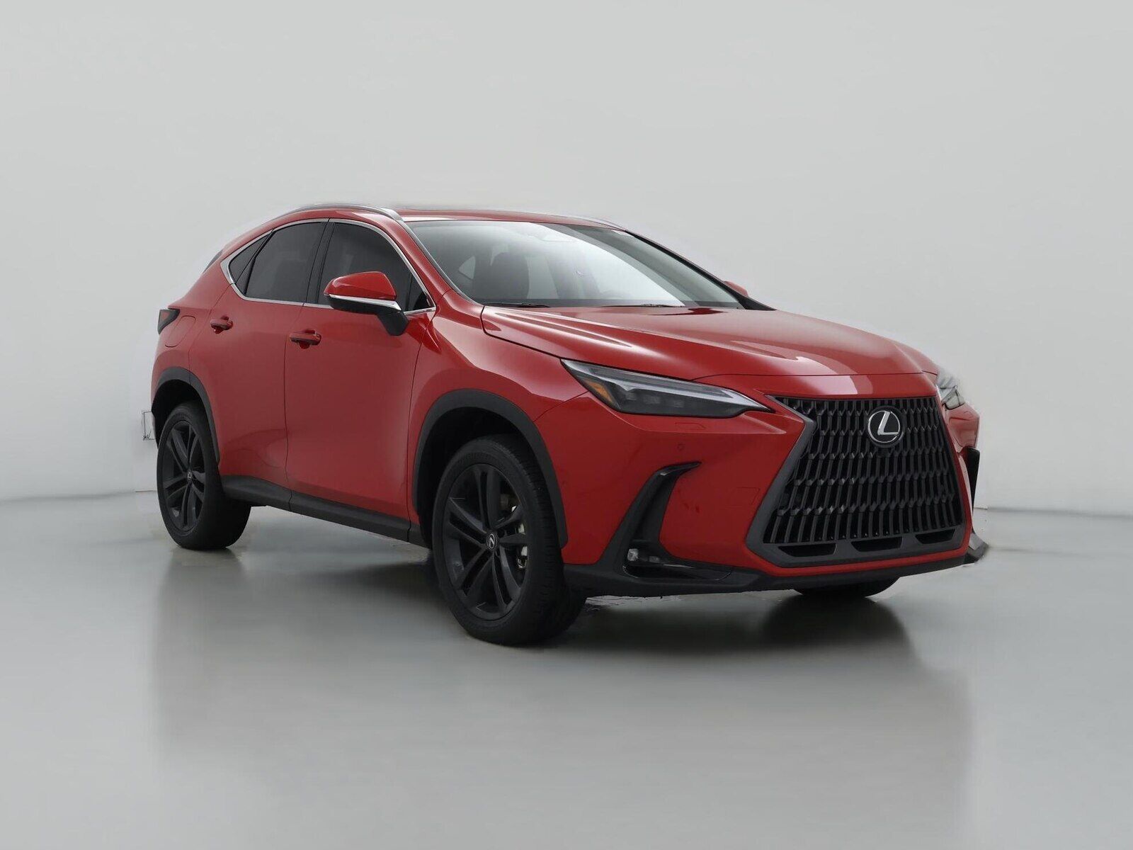 2024 LEXUS NX