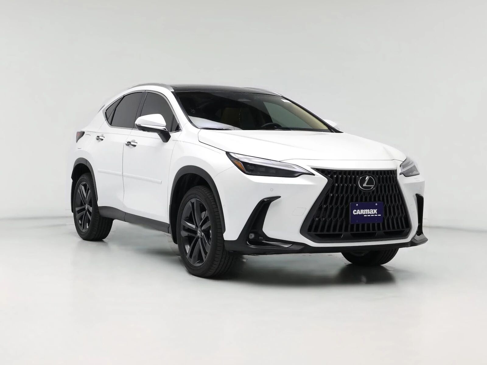 2025 LEXUS NX