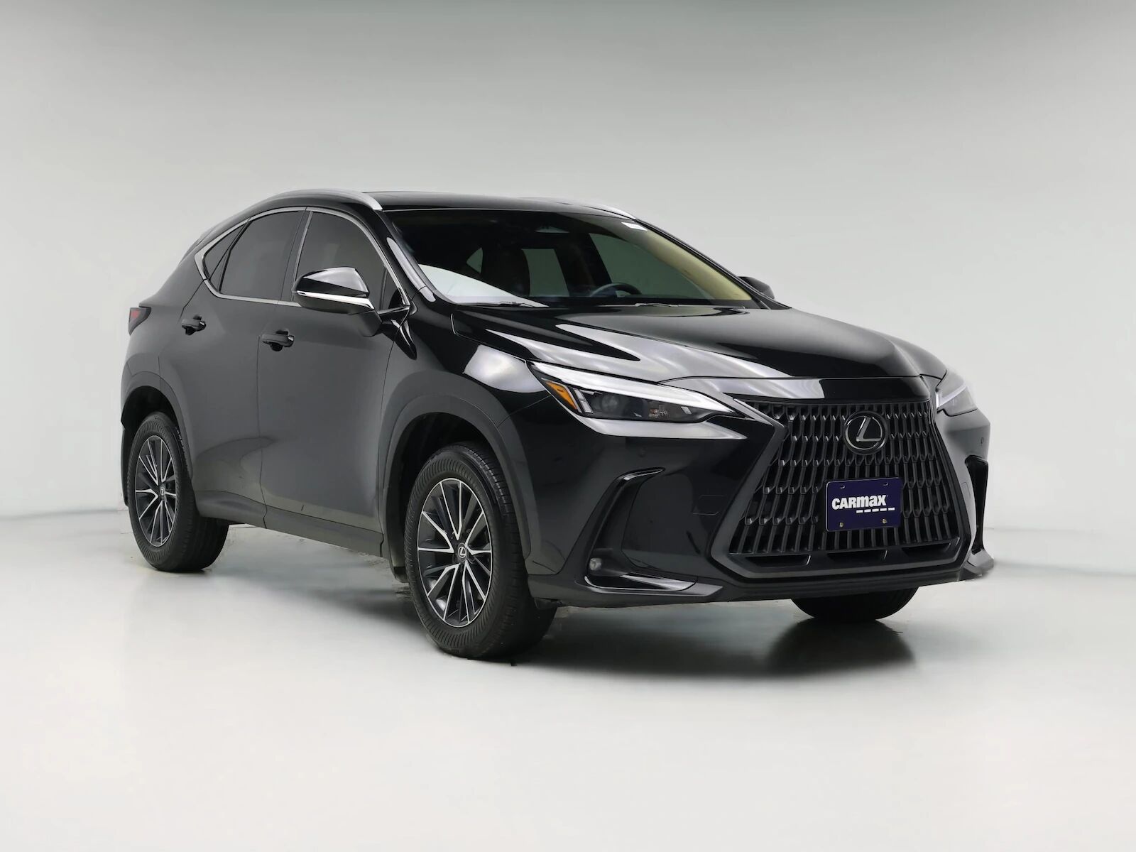 2025 LEXUS NX