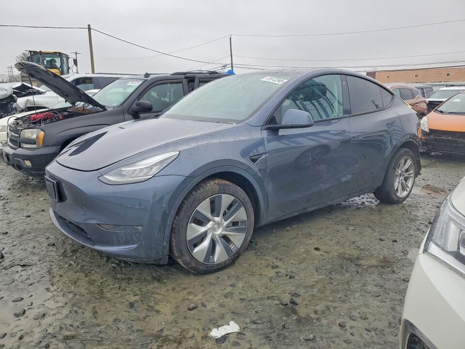 2020 TESLA Model Y