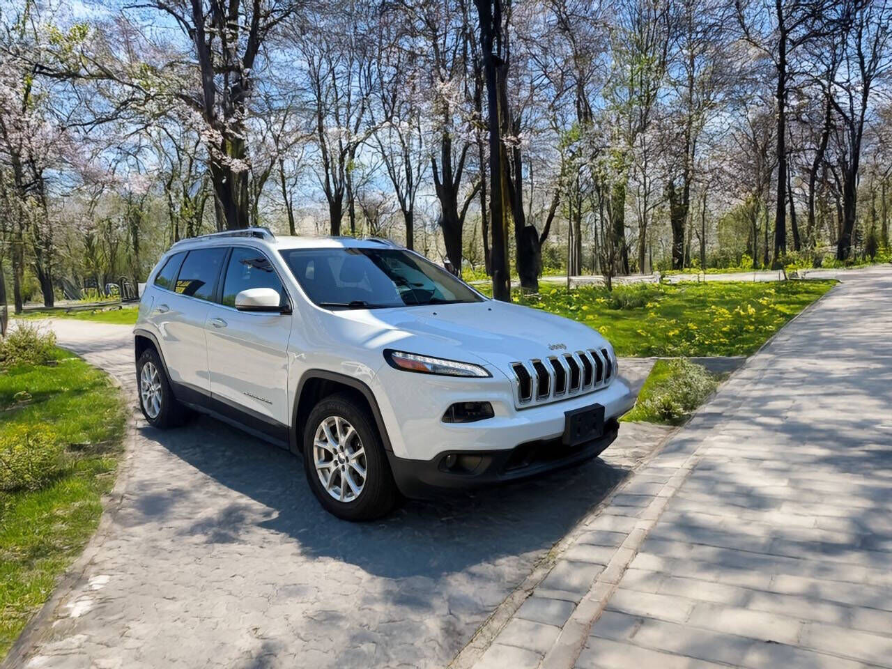 2017 JEEP Cherokee