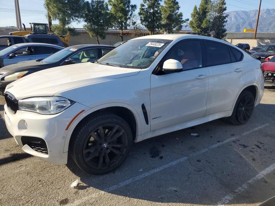 2019 BMW X6