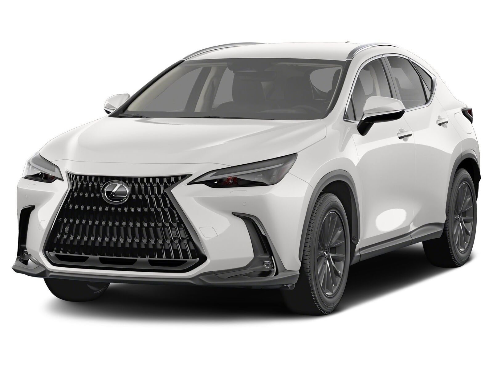 2024 LEXUS NX