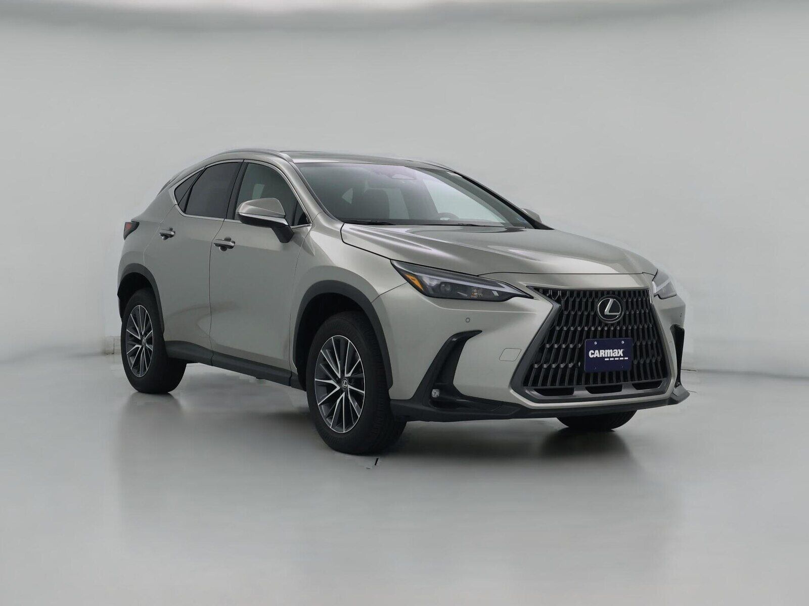 2025 LEXUS NX
