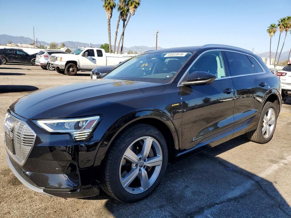 2019 AUDI e-tron