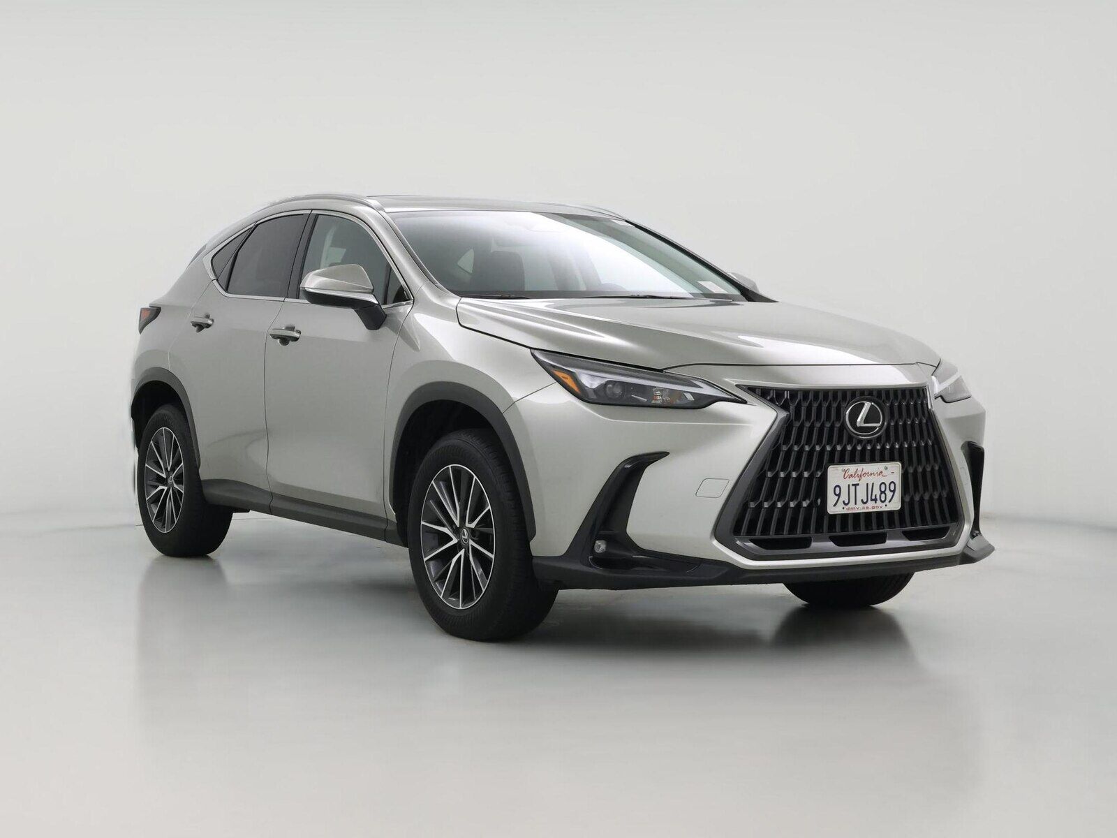 2024 LEXUS NX