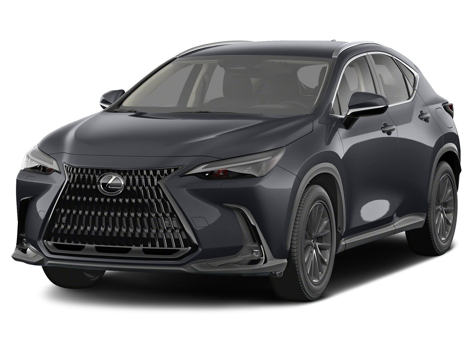 2024 LEXUS NX