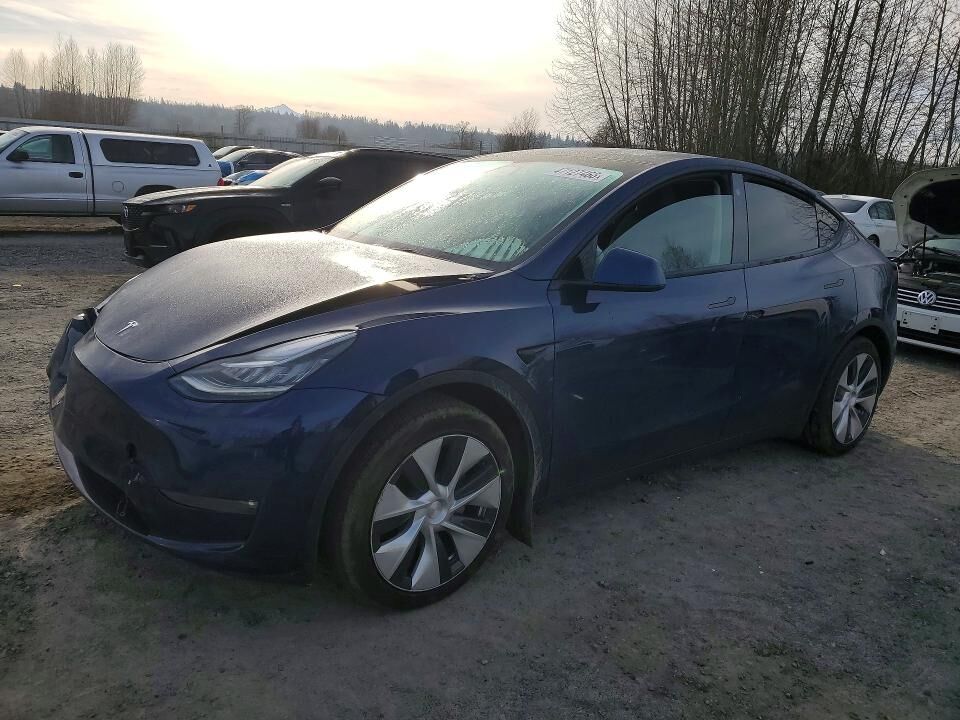 2021 TESLA Model Y