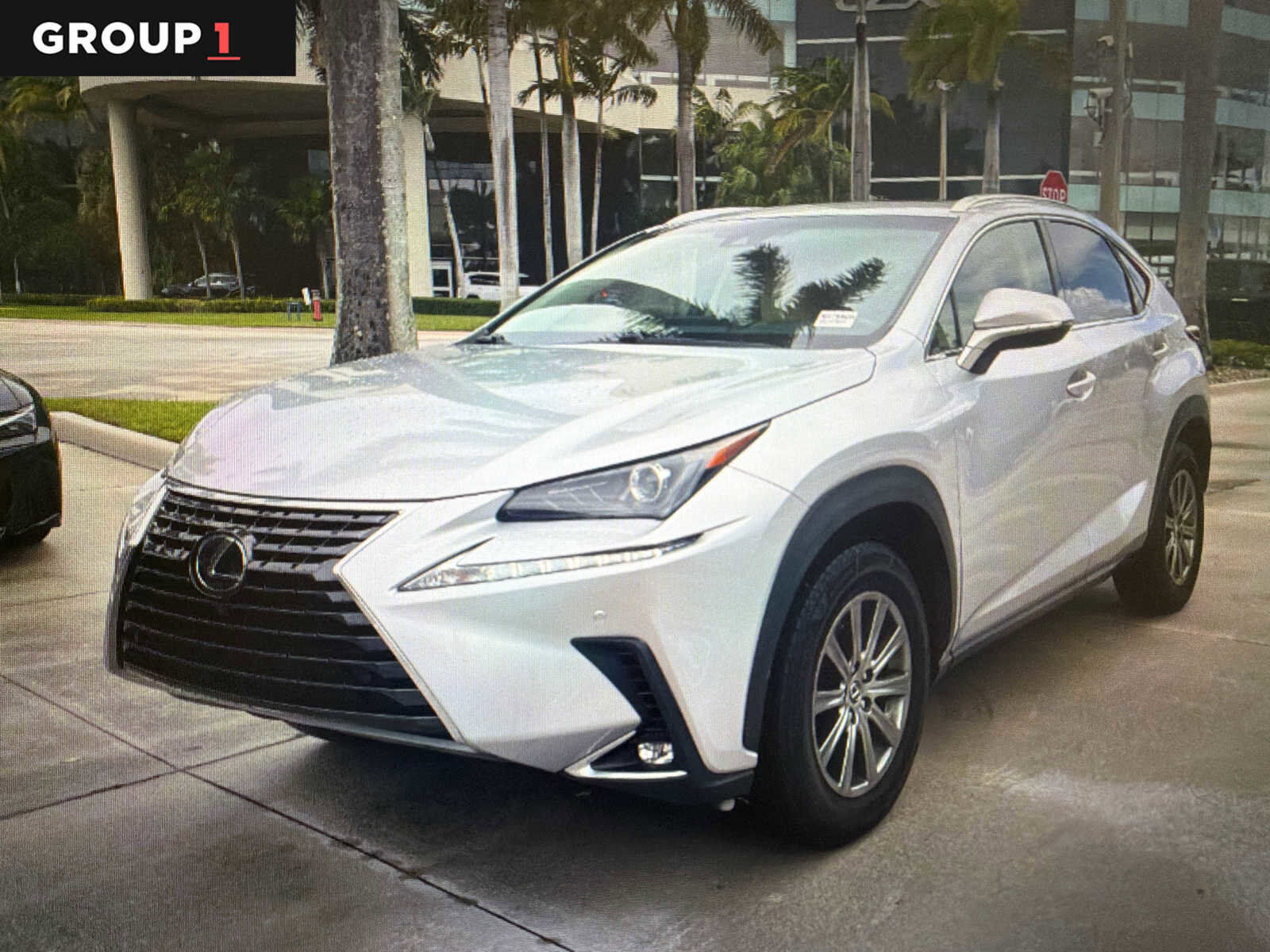 2019 LEXUS NX