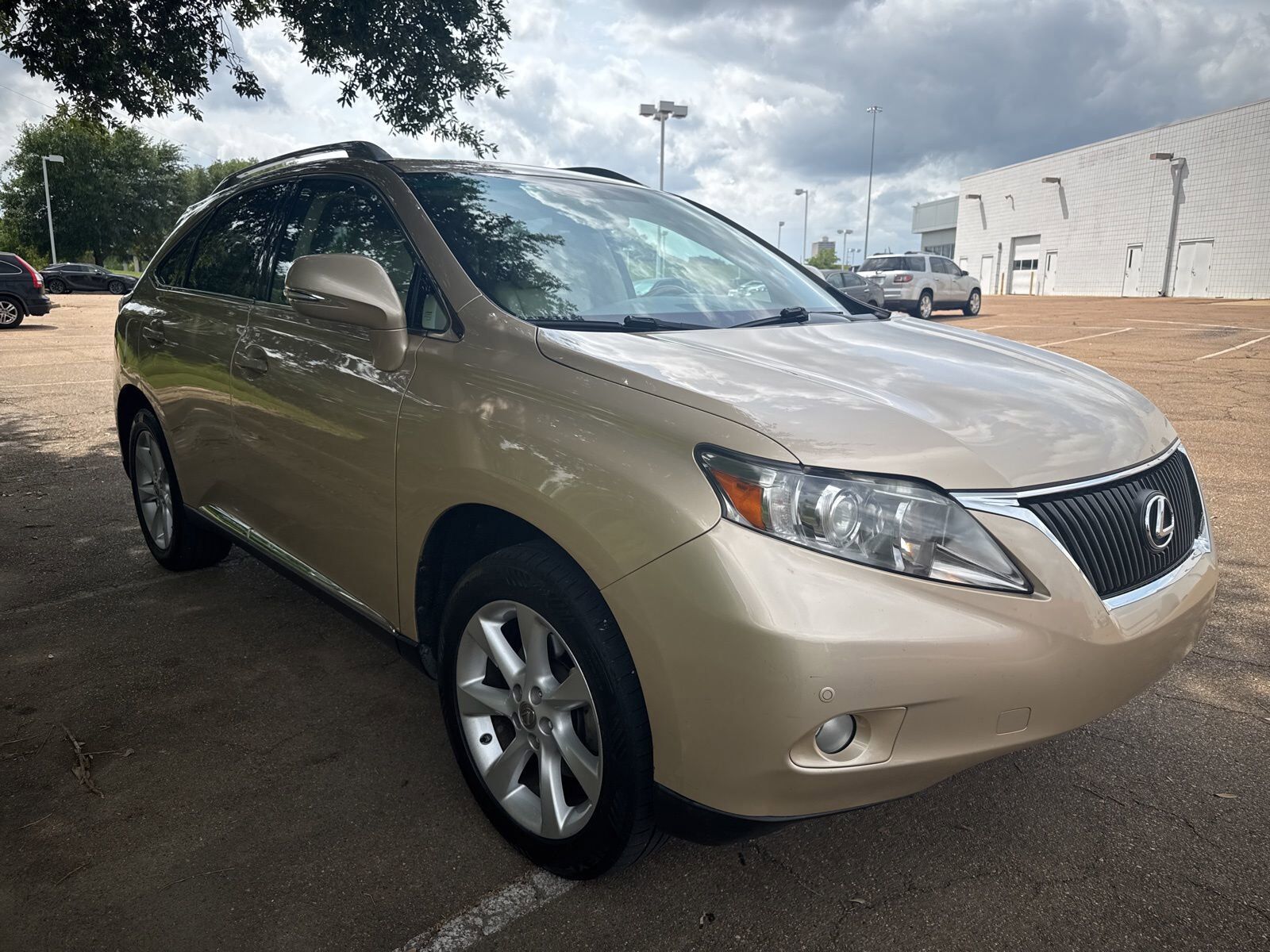 2010 LEXUS RX